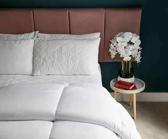 Bedroom Duvets, Pillows & Protectors