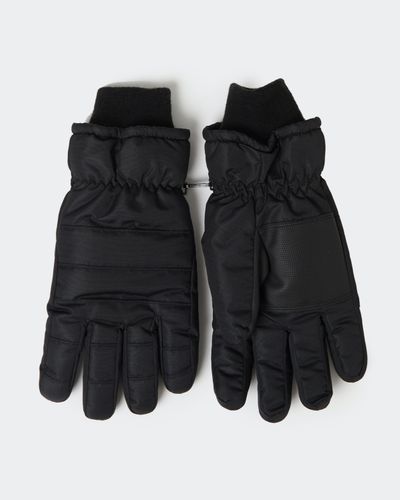 Ski Gloves thumbnail