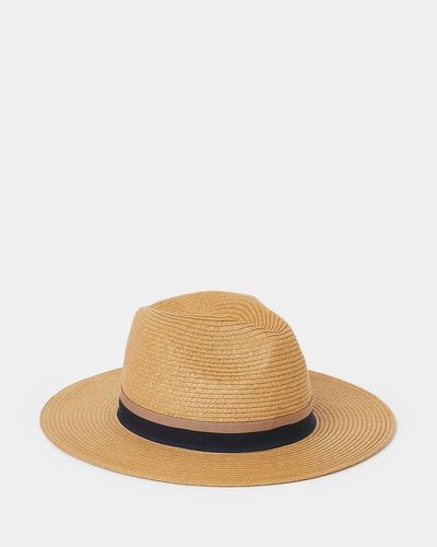 Panama Hat thumbnail
