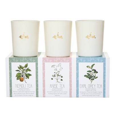 Carolyn Donnelly Eclectic Soy Blend Votive Set - Pack Of 3 thumbnail