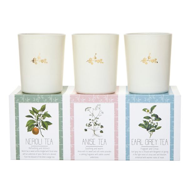 Carolyn Donnelly Eclectic Soy Blend Votive Set - Pack Of 3