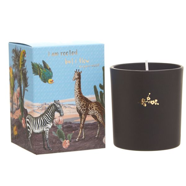 Carolyn Donnelly Eclectic Fusion Candle