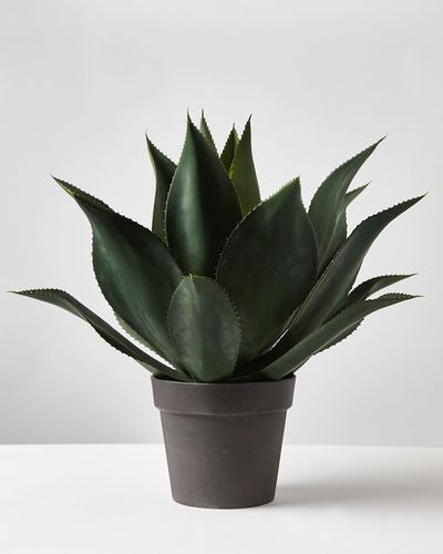 Carolyn Donnelly Eclectic Large Faux Agave Plant thumbnail