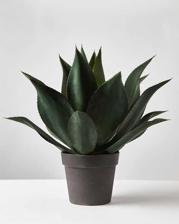 Carolyn Donnelly Eclectic Large Faux Agave Plant
