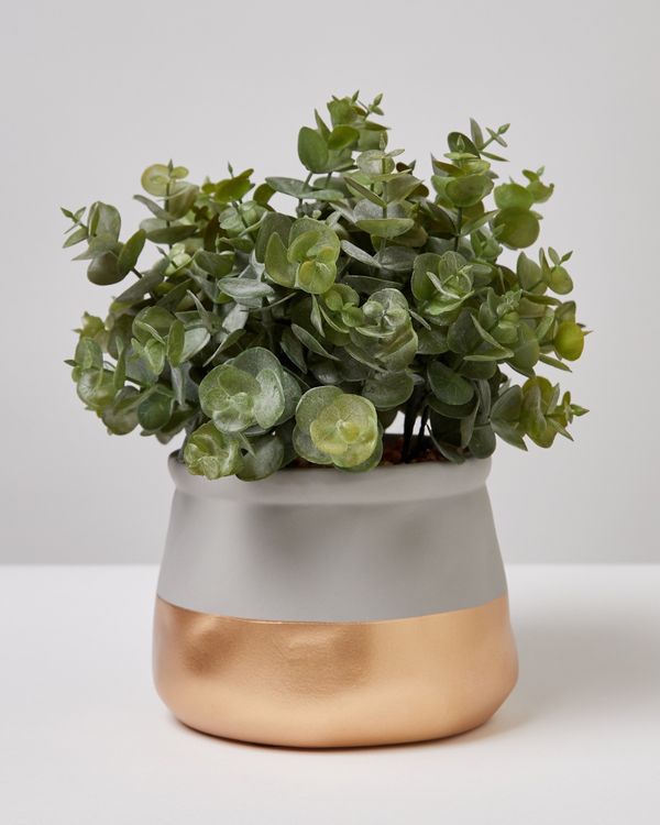 Carolyn Donnelly Eclectic Artificial Plant In Gold Pot