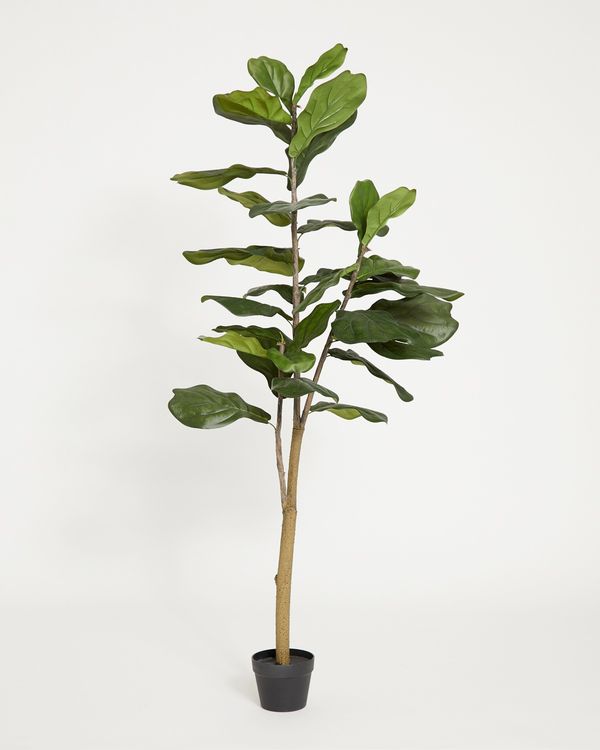 Carolyn Donnelly Eclectic Artificial Fig Tree Plant