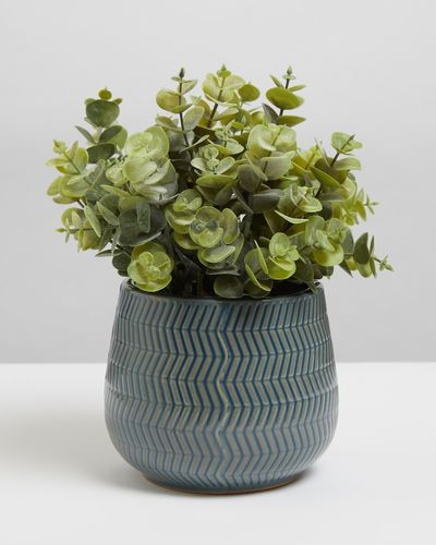 Carolyn Donnelly Eclectic Chevron Potted Plant thumbnail