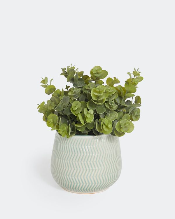 Carolyn Donnelly Eclectic Chevron Potted Plant