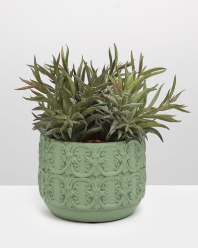 Carolyn Donnelly Eclectic Ornate Plant Pot thumbnail