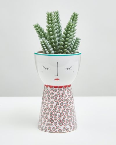 Carolyn Donnelly Eclectic Cacti Girl Pot thumbnail