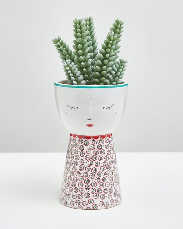 Carolyn Donnelly Eclectic Cacti Girl Pot