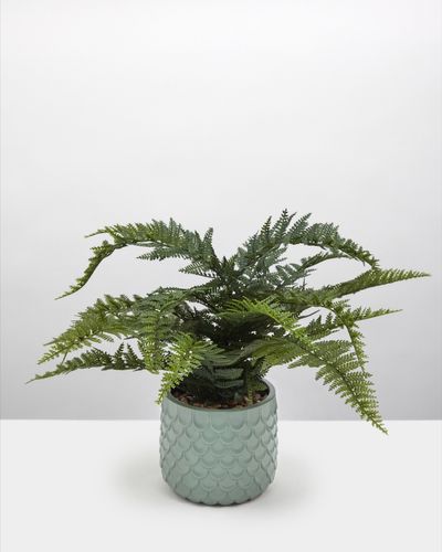 Carolyn Donnelly Eclectic Potted Faux Fern thumbnail