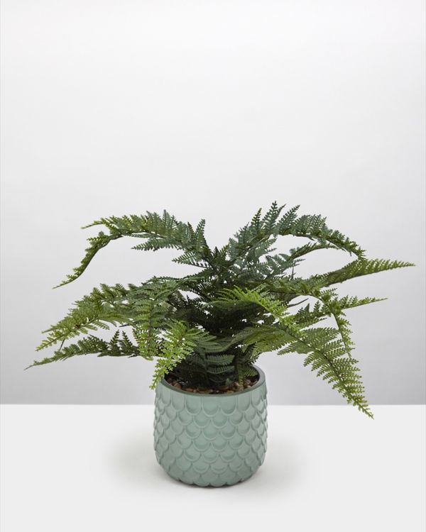 Carolyn Donnelly Eclectic Potted Faux Fern