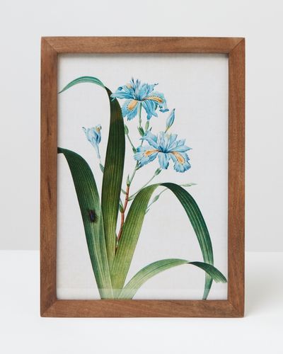 Carolyn Donnelly Eclectic Floral Wall Art thumbnail