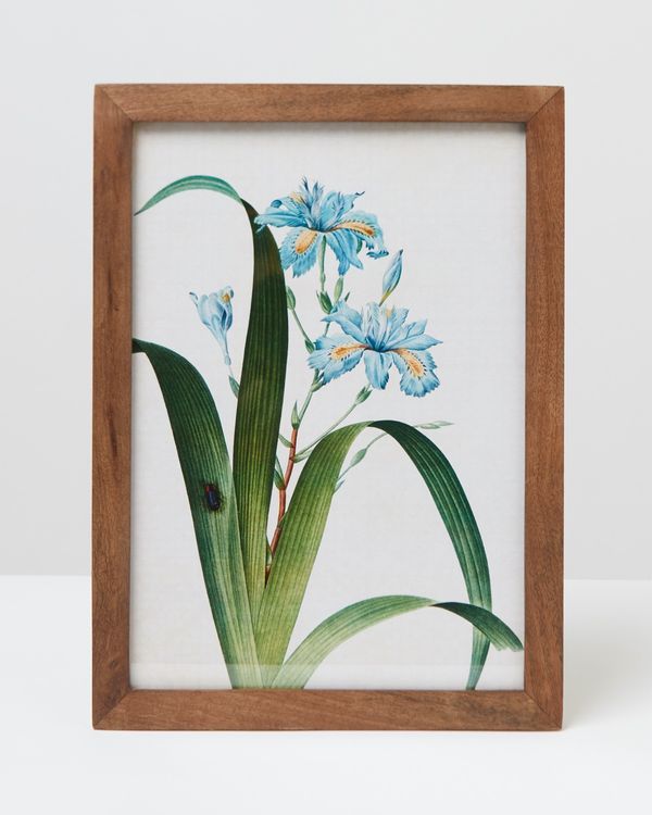 Carolyn Donnelly Eclectic Floral Wall Art