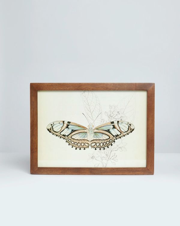 Carolyn Donnelly Eclectic Butterfly Wall Art