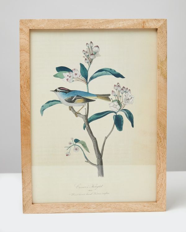 Carolyn Donnelly Eclectic Bird Wall Art