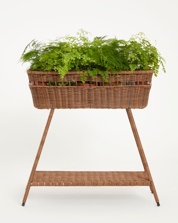 Carolyn Donnelly Eclectic Trio Rattan Plant Stand