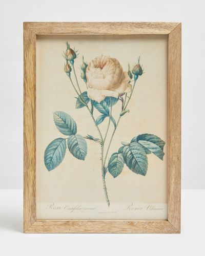 Carolyn Donnelly Eclectic Floral Wall Art thumbnail
