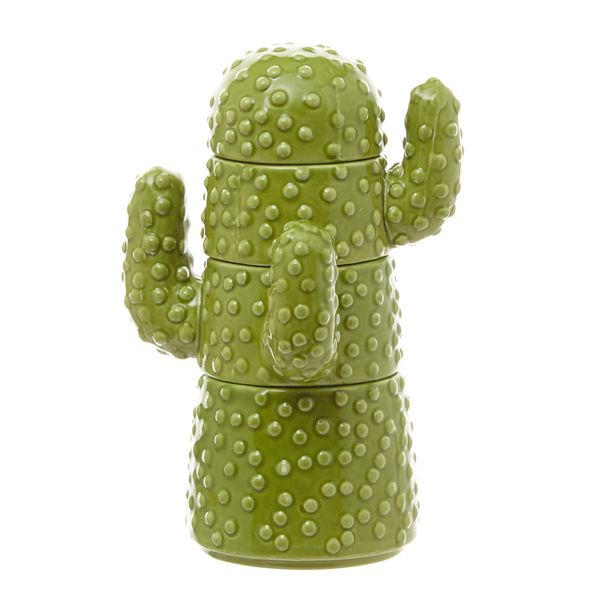 Carolyn Donnelly Eclectic Cactus Measuring Cups