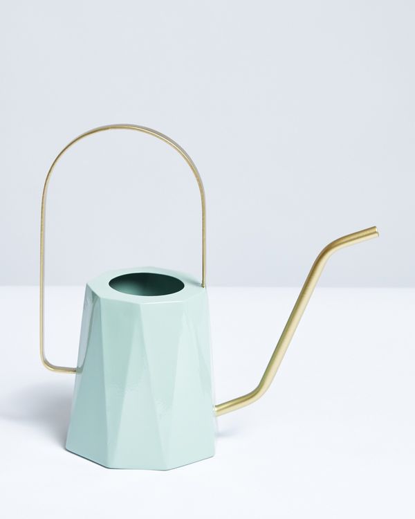 Carolyn Donnelly Eclectic Design Watering Can