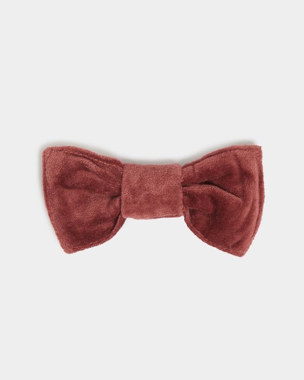 Carolyn Donnelly Eclectic Pet Bow Tie