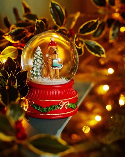 Carolyn Donnelly Eclectic Snow Globe