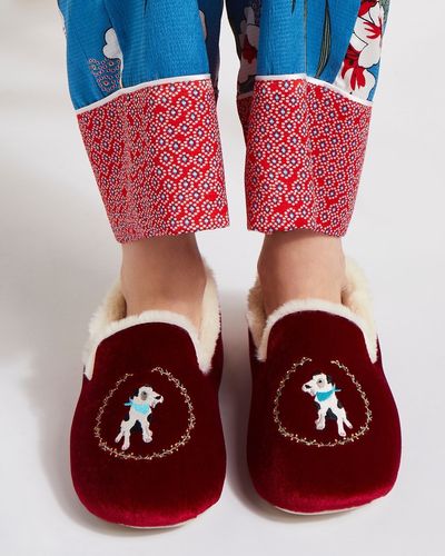 Carolyn Donnelly Eclectic Dog Slippers