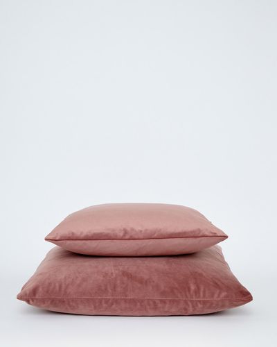Paul Costelloe Living Velour Feather Filled Cushion thumbnail