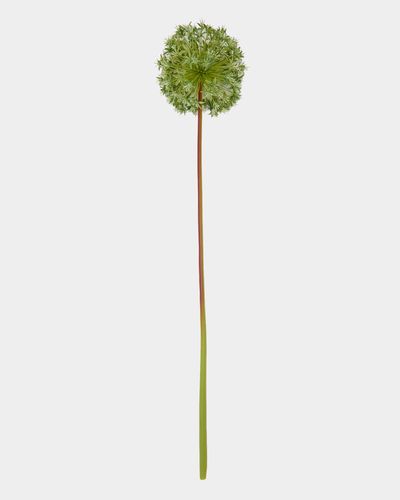 Paul Costelloe Living Allium Artificial Flower Spray thumbnail
