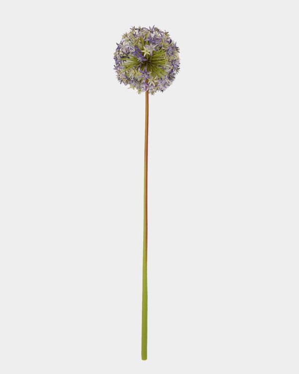 Paul Costelloe Living Allium Artificial Flower Spray
