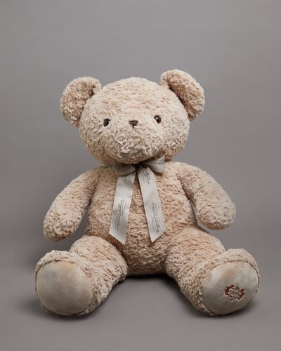 Paul Costelloe Living Bear With Bow