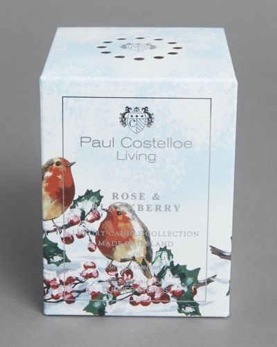 Paul Costelloe Living Scenic Robin Candle