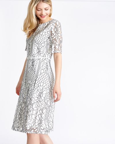Gallery Lace Contrast Dress thumbnail