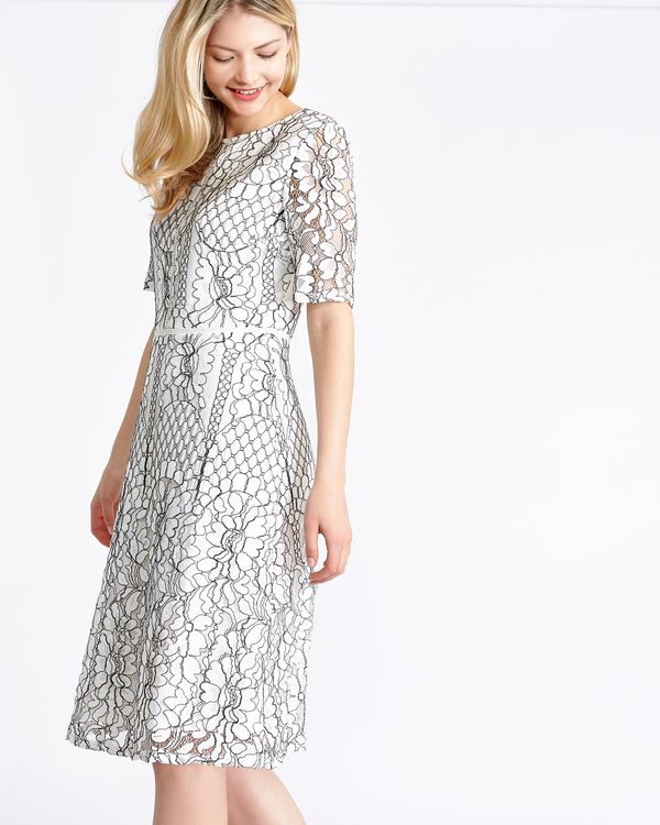 Gallery Lace Contrast Dress