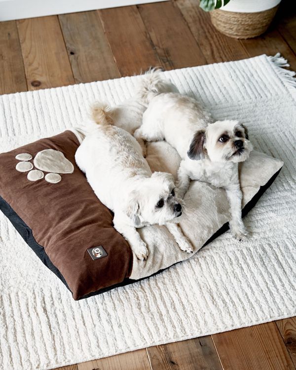 Microplush Dog Bed