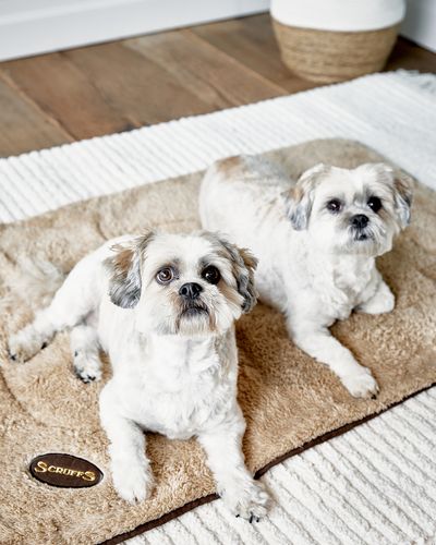 Scruffs Cosy Blanket Pet Bed thumbnail