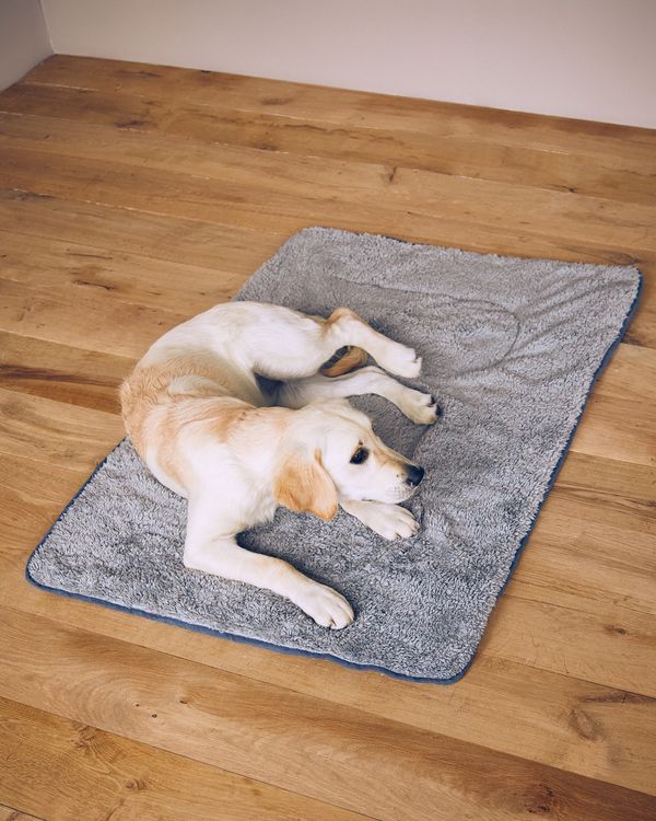 Scruffs Cosy Blanket Pet Bed