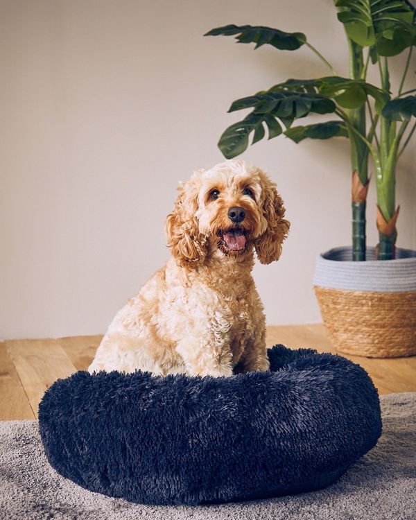 Dunnes Stores Navy Plush Donut Pet Bed
