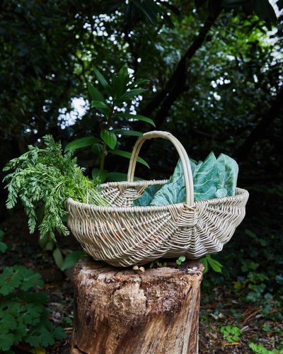 Helen James Considered Vegetable Basket thumbnail