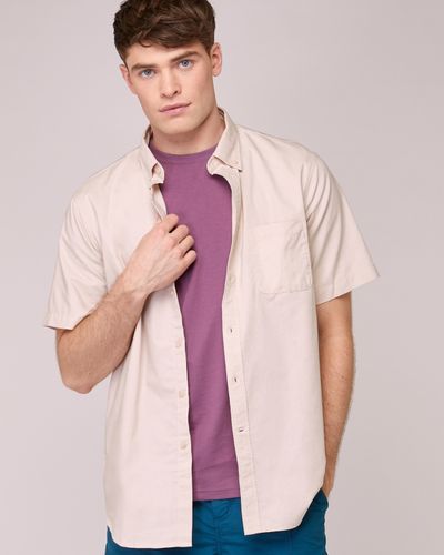 Regular Fit Cotton Oxford Solid Shirt