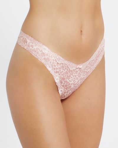 Microfibre Lace Thongs - Pack Of 3
