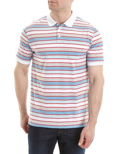 Regular Fit Stripe Peached Polo Shirt thumbnail