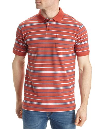 Regular Fit Stripe Peached Polo Shirt thumbnail