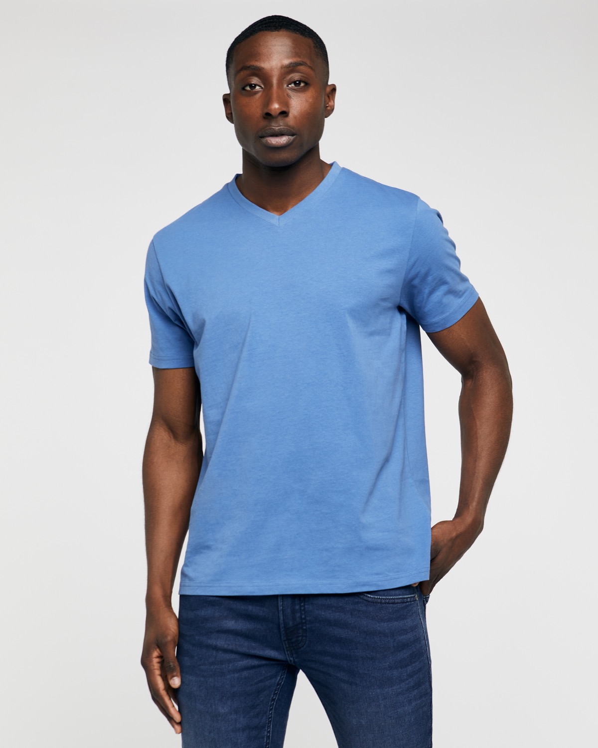 Dunnes Stores | Denim Regular Fit V-Neck T-Shirt