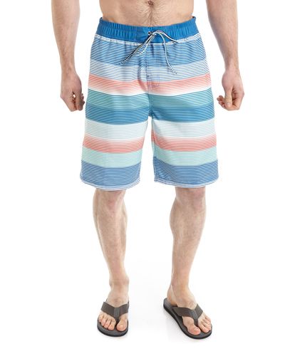 Regular Fit Quick Dry Stripe Swim Shorts thumbnail