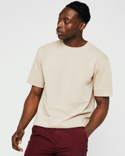 Short-Sleeved Cotton Sweater Top thumbnail