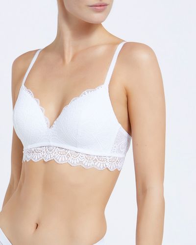 Lace Non Wired Padded Bra thumbnail