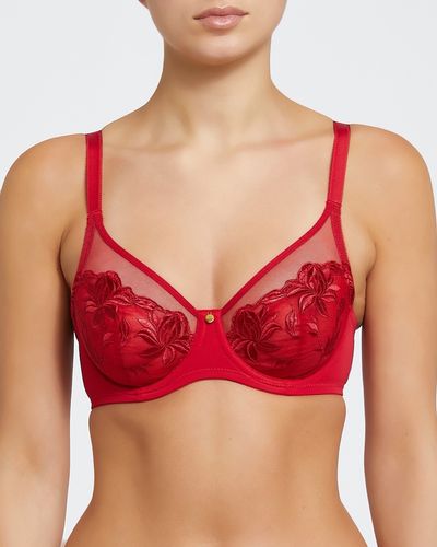 Olivia Non-Padded Full Cup Embroidered Bra