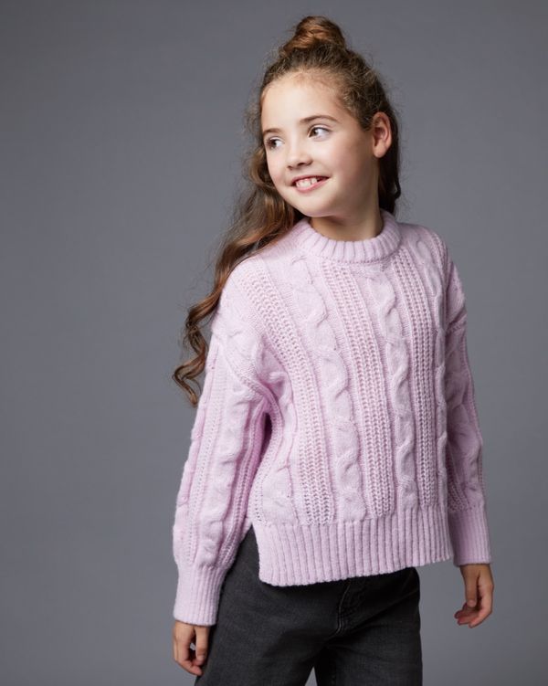 Dunnes Stores | Lilac Leigh Tucker Willow Solid Textured Jumper (4-12 ...